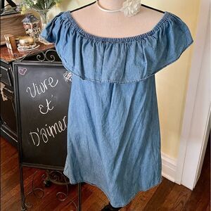 Prince & Fox 🦊 💯 Cotton Denim Sz S Demim Dress